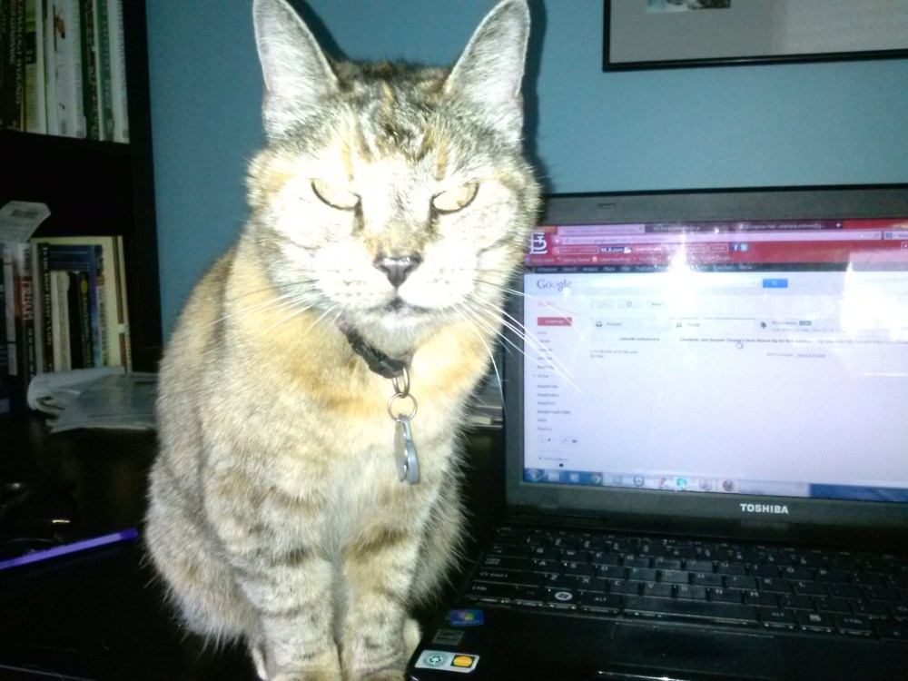 She's cute, but not a very good typist.