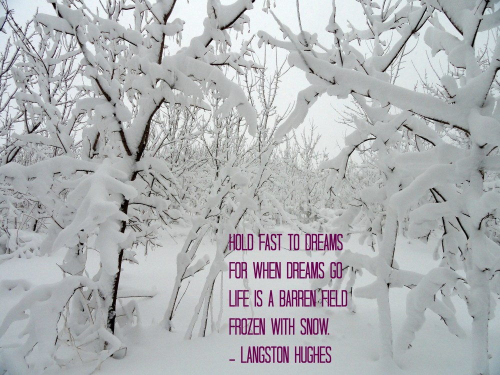 Image created with free photo from morgueFile using PicMonkey photo editing